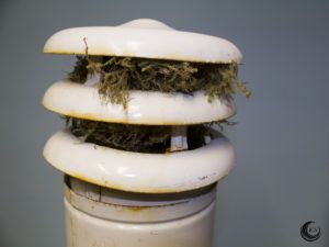 Nido en chimenea - Ingeosolar