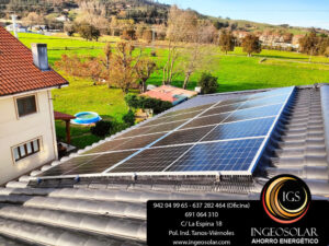 nidos de pajaros en paneles solares ingeosolar